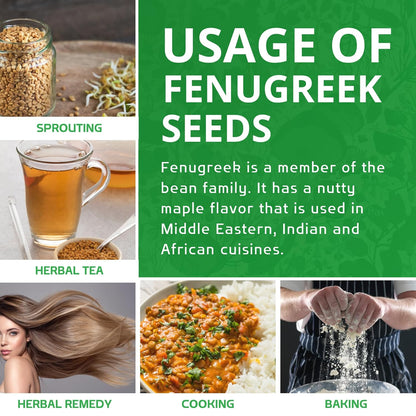 Jiva Organic Fenugreek Seeds 7 Ounce – Thoughtful Wellness Gift for Mom, Natural Hair Care & Cooking Pantry Essential