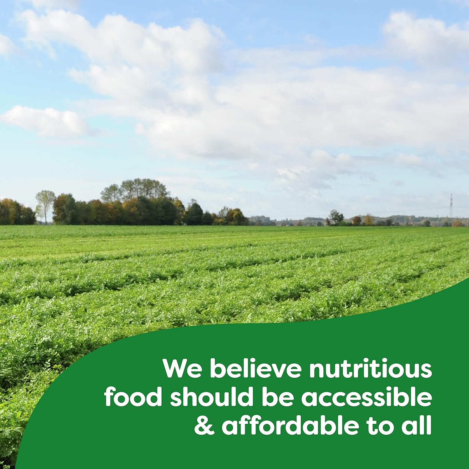 Knorr Pasta Sides Alfredo Fettuccine – Clean-Label Pantry Side with No Artificial Preservatives