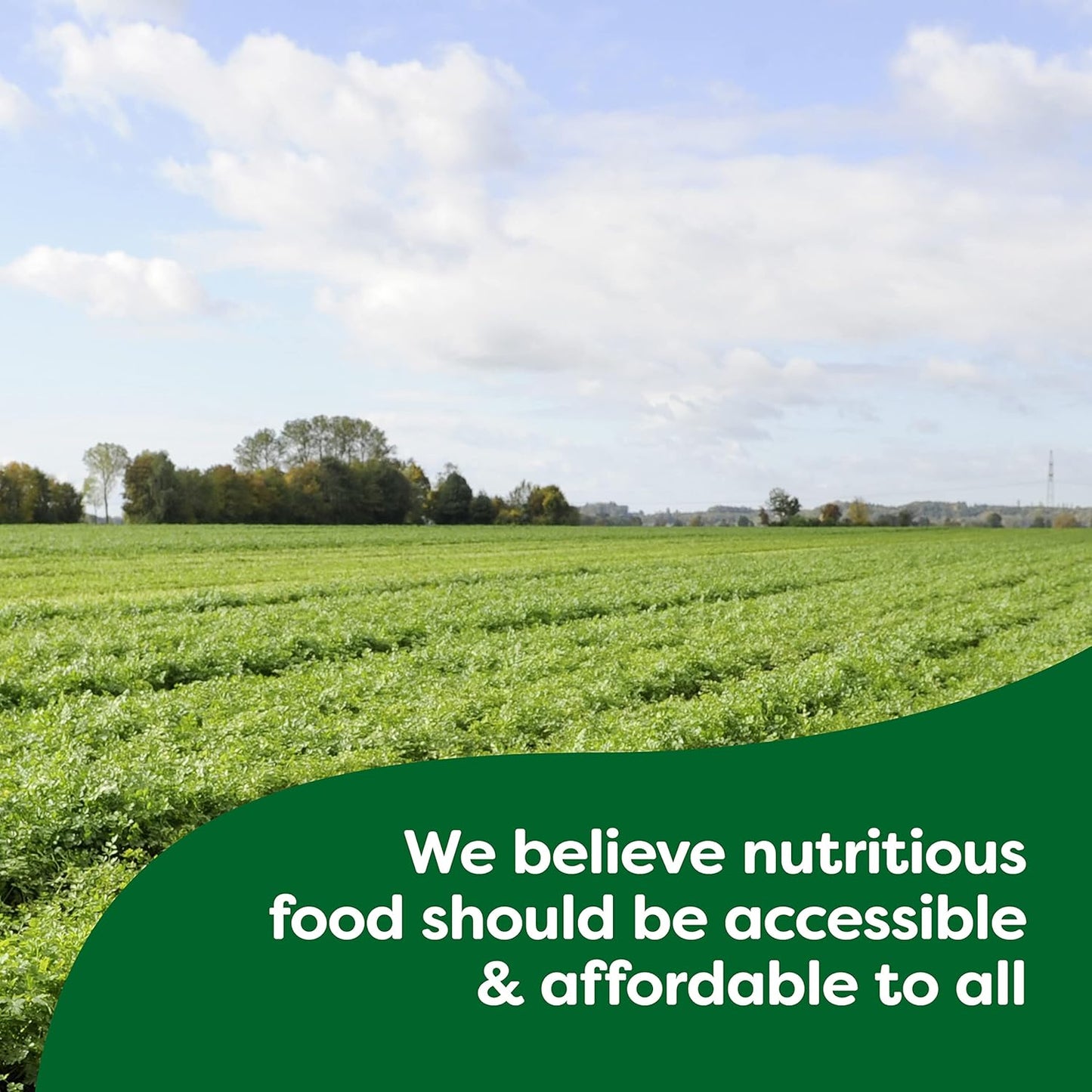 Knorr Rice Sides Chicken Fried Rice – Clean-Label Pantry Staple With No Artificial Flavors or Preservatives