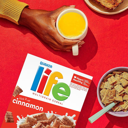 Life Cinnamon Multigrain Cereal – Safe & Wholesome Breakfast Choice for Nursery-Age Kids, Fortified Flakes Family Pack