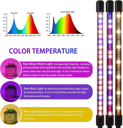 LUMIPRO Indoor Grow Light for Plants — Bedside Wellness Lamp with Calming Red+Blue Spectrum for Mindful Nighttime Plant Care