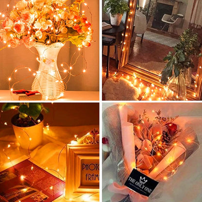 LumNest Battery Fairy Lights – Cozy Bedroom Accent, 200 Warm White LEDs for Living Room Ambiance