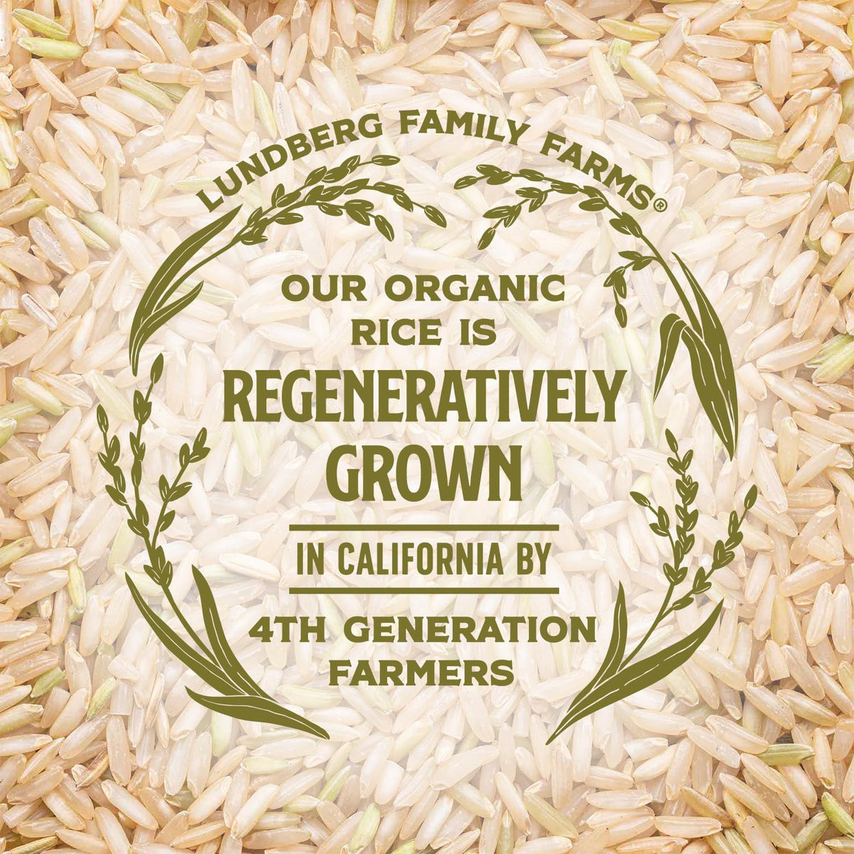 Lundberg Family Farms Brown Basmati – Clean Eating Rice for Mindful Meal Prep