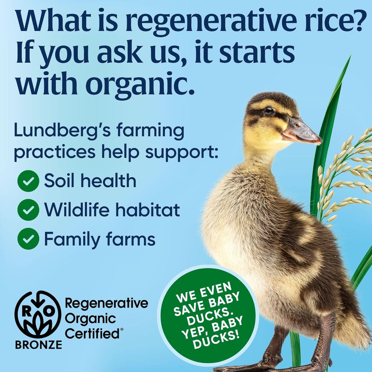 Lundberg Regenerative Organic Rice for Wellness-Focused Pantry