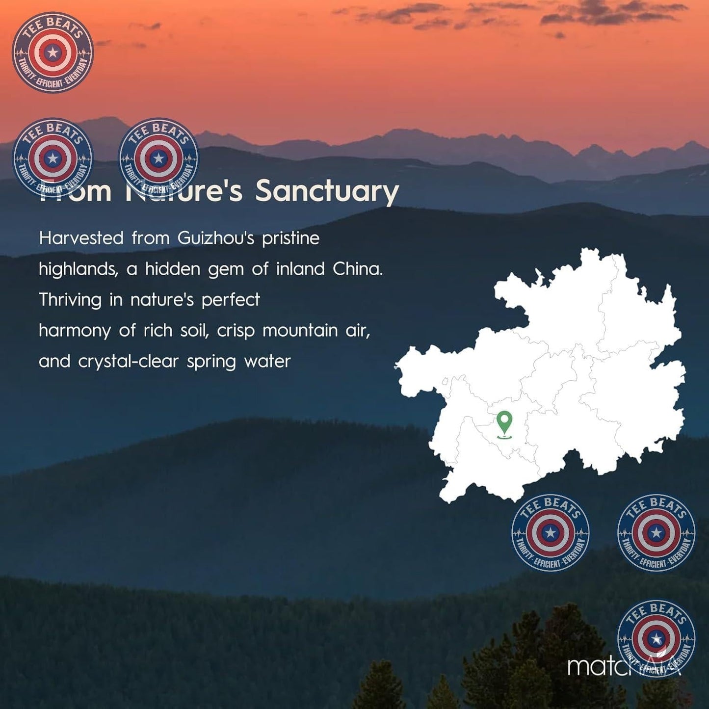MatchAiA Organic Matcha – Elegant Housewarming Present for the Health-Conscious Friend