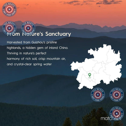MatchAiA Organic Matcha – Elegant Housewarming Present for the Health-Conscious Friend