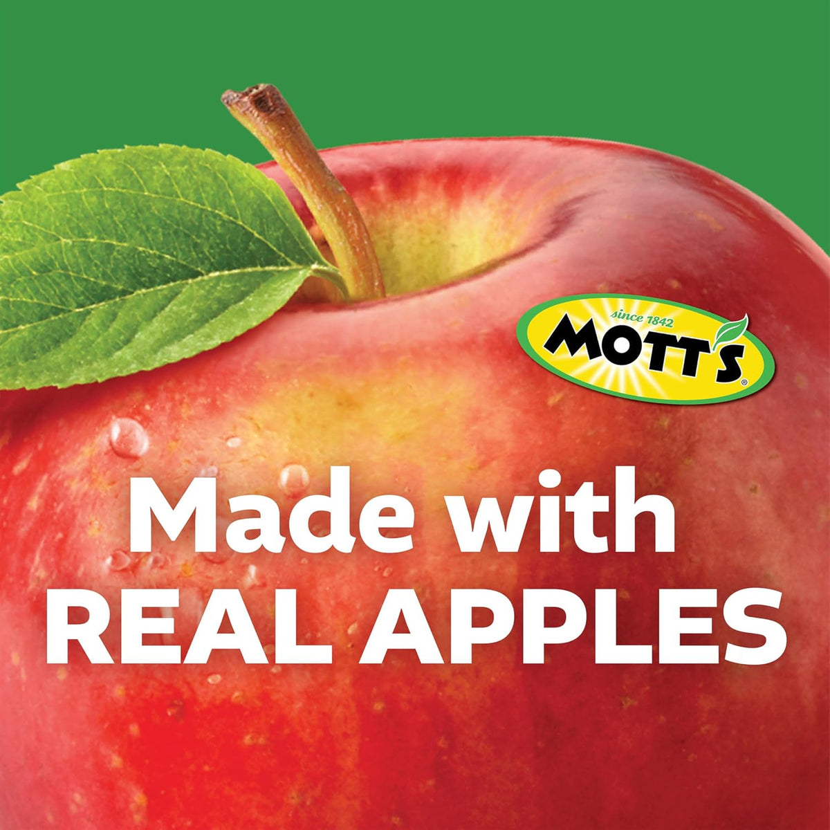 Mott's Portion Controlled Fruit Pouches – Quick Afternoon Snack for Home Office and Study Sessions, 3.2 Oz Each