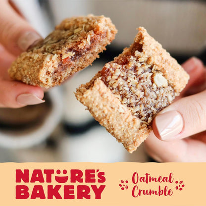 Nature's Bakery Dairy Free Oatmeal Bars for Soft Food Diet – Soft Baked Strawberry, Gentle on Teeth 12 Pack