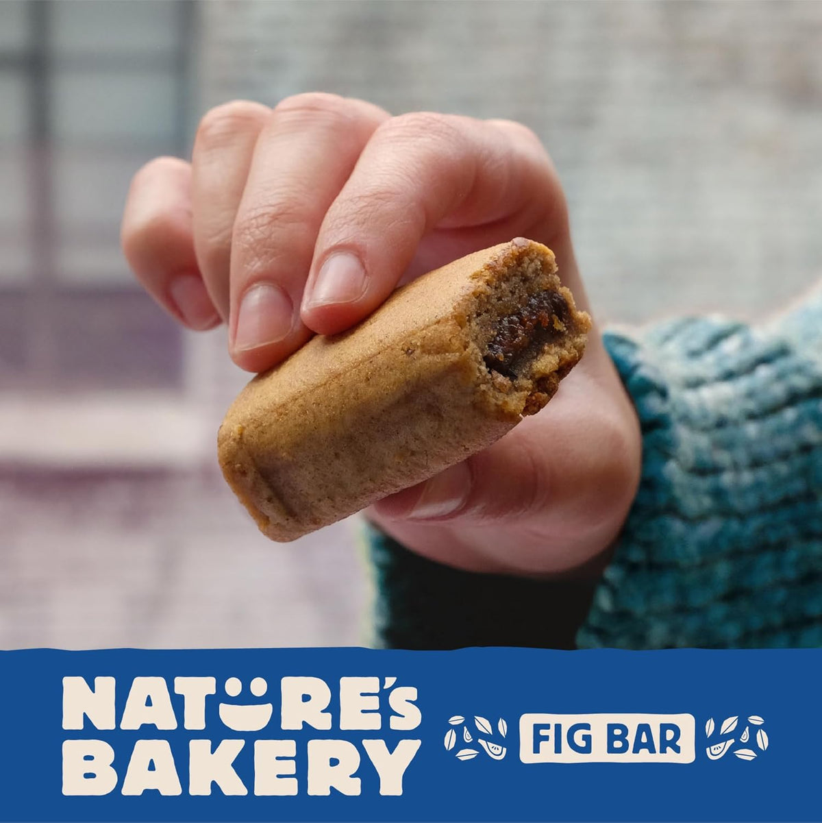 Nature's Bakery Vegan Twin Packs – Simple Clean Label Snack for Clutter-Free Kitchens