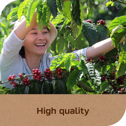 NESCAFÉ Taster's Choice French Roast Instant Coffee – Intentional Home Brew, No Machine Required for Simple Living