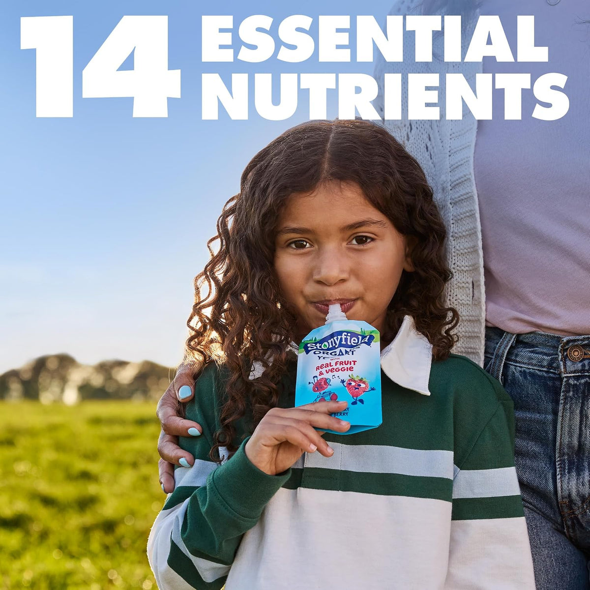 no artificial flavors, artificial sweeteners, or high-fructose corn syrup