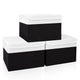 Black & White - Large - 3 Pack