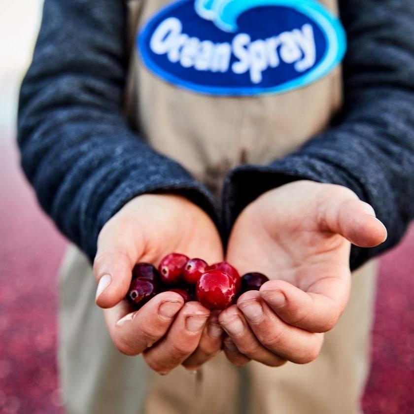 Ocean Spray Cran-Energy Cranberry Raspberry Energy Juice Drink for Study Desks and Mid Afternoon Focus Boosts