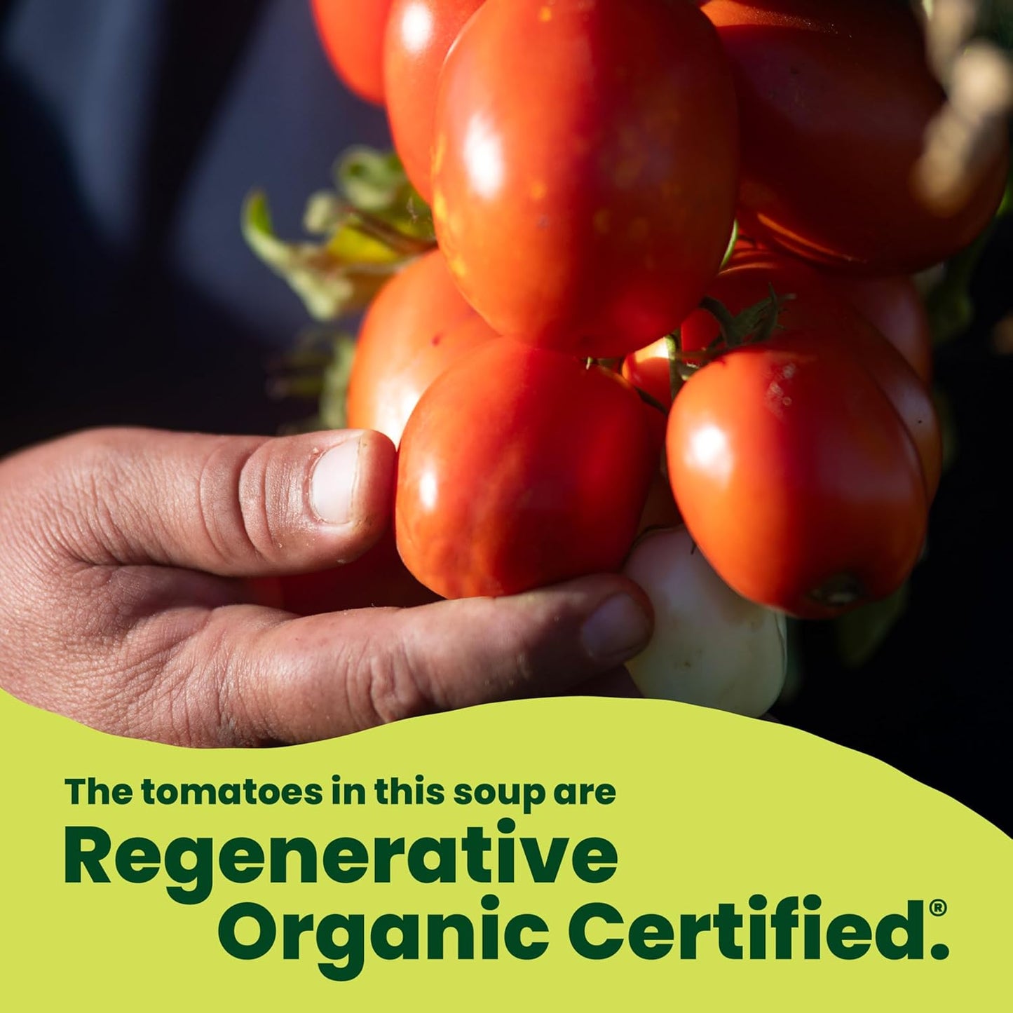 provides 3/4 cup of vegetables per serving
