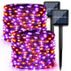 Orange & Purple - 100 LED - 2 Pack
