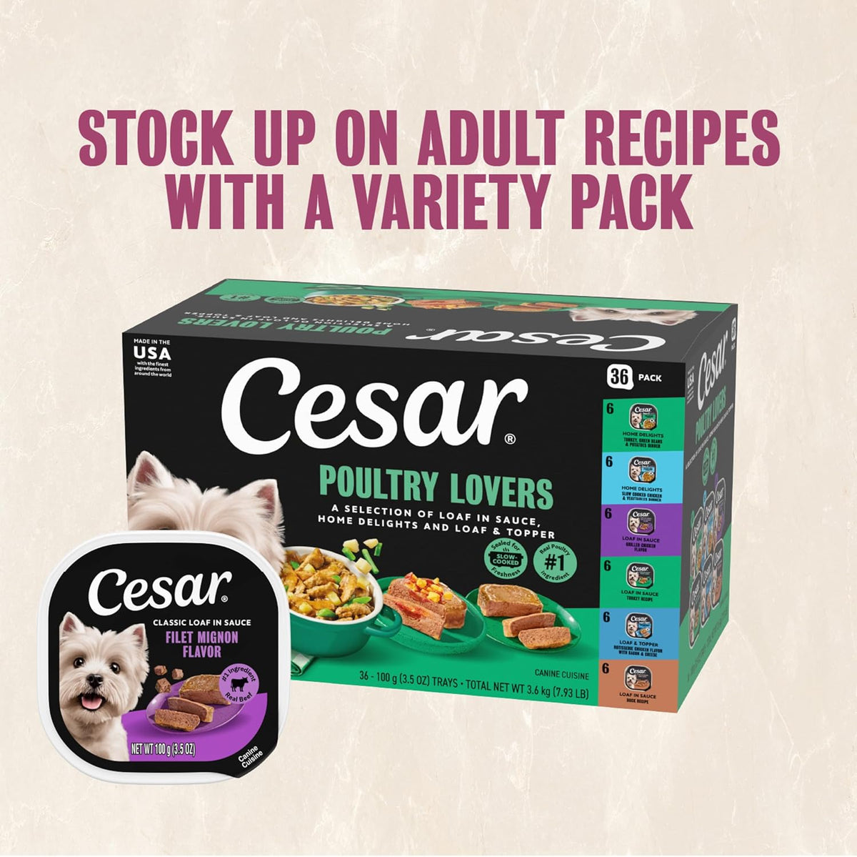 Cesar Adult Wet Dog Food Steak Selection – Welcome Home Gift for New Puppy or Adopted Senior Dogs