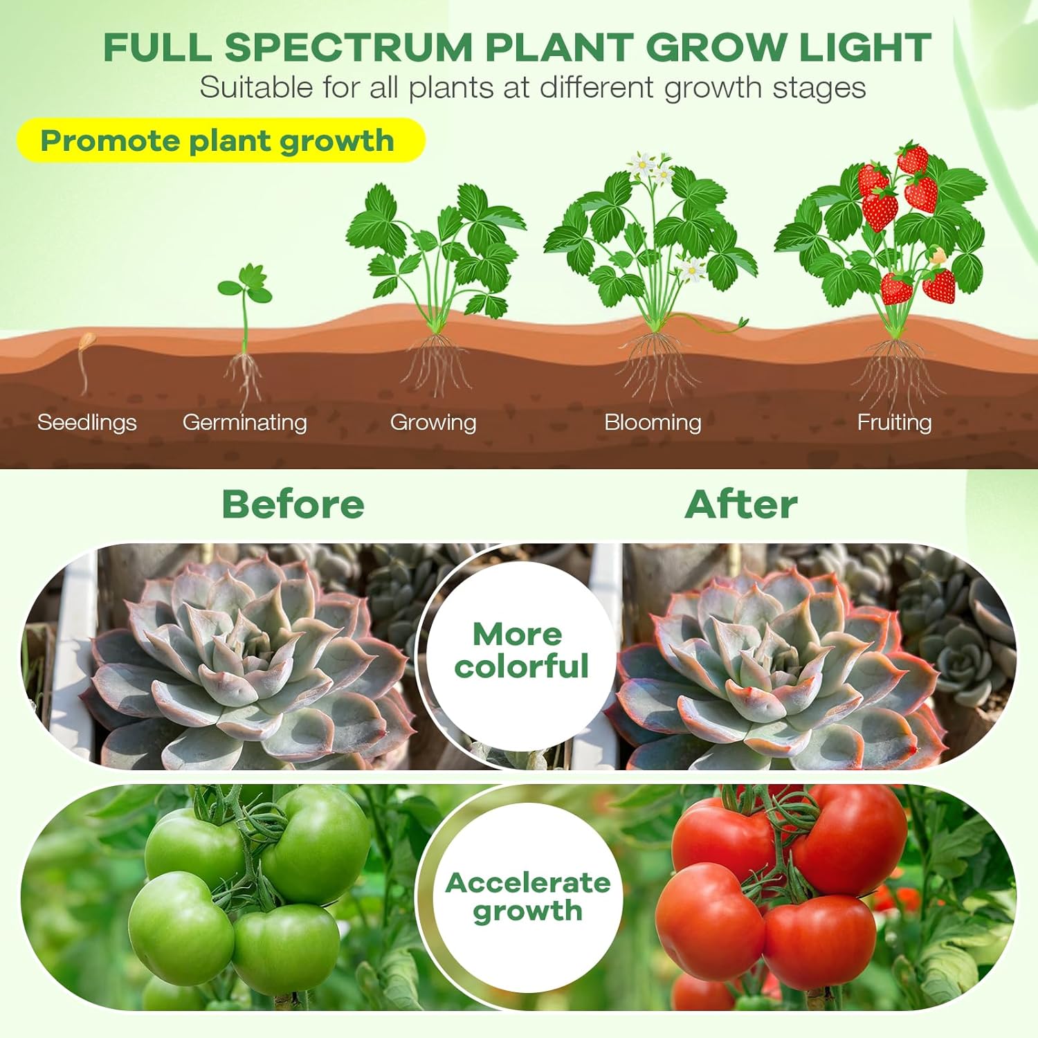 SANSI Grow Light – 4-Head LED Plant Lamp for Cozy Living Room Decor and Indoor Greenery