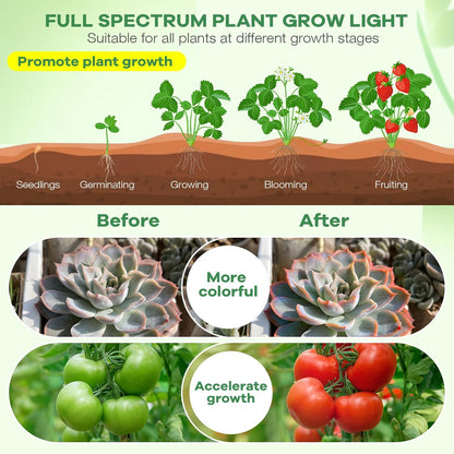 SANSI Grow Light – 4-Head LED Plant Lamp for Cozy Living Room Decor and Indoor Greenery