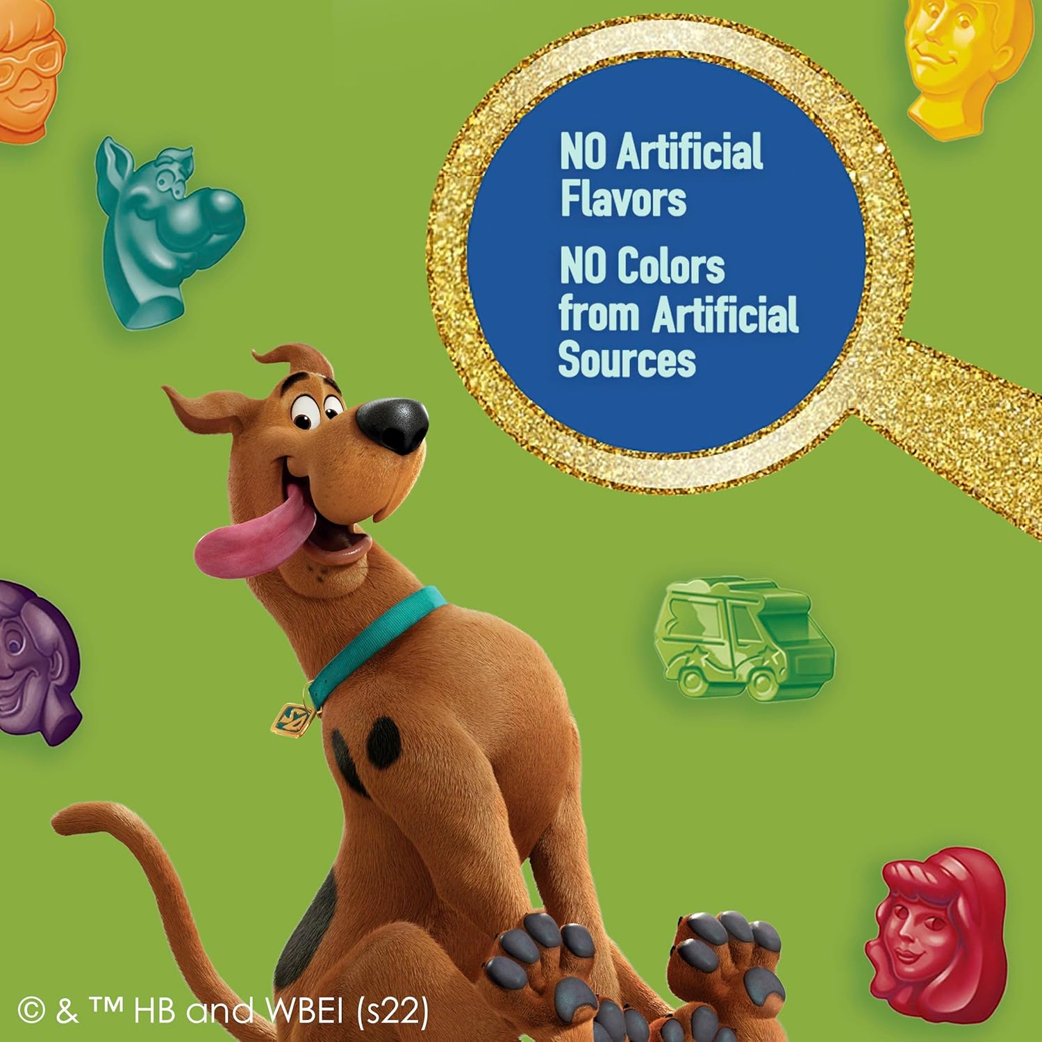 Scooby-Doo Fruit Flavored Snacks Gluten Free 22 Pouch Themed Birthday Party Favor for Kids