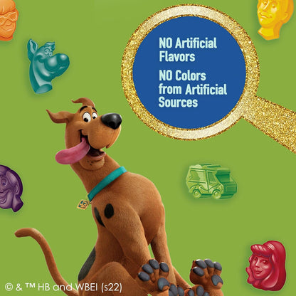 Scooby-Doo Fruit Flavored Snacks Gluten Free 22 Pouch Themed Birthday Party Favor for Kids