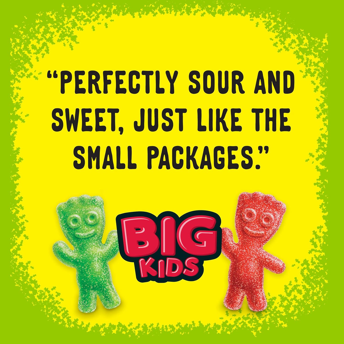 SOUR PATCH KIDS Big Kids Individually Wrapped Candy Holiday Gift for Kids, Stocking Stuffer, and Party Favor Bags, 240 Count