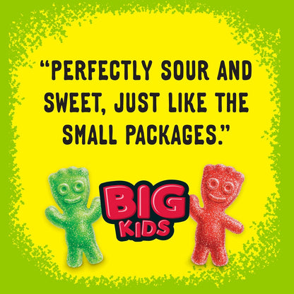 SOUR PATCH KIDS Big Kids Individually Wrapped Candy Holiday Gift for Kids, Stocking Stuffer, and Party Favor Bags, 240 Count
