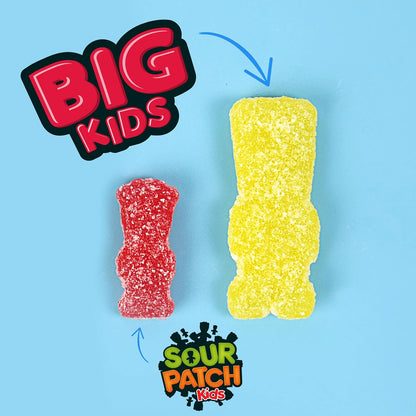 SOUR PATCH KIDS Big Kids Soft & Chewy Candy for Kids' Lunch Boxes, 12 oz Share Bag of Assorted Fruit Flavors