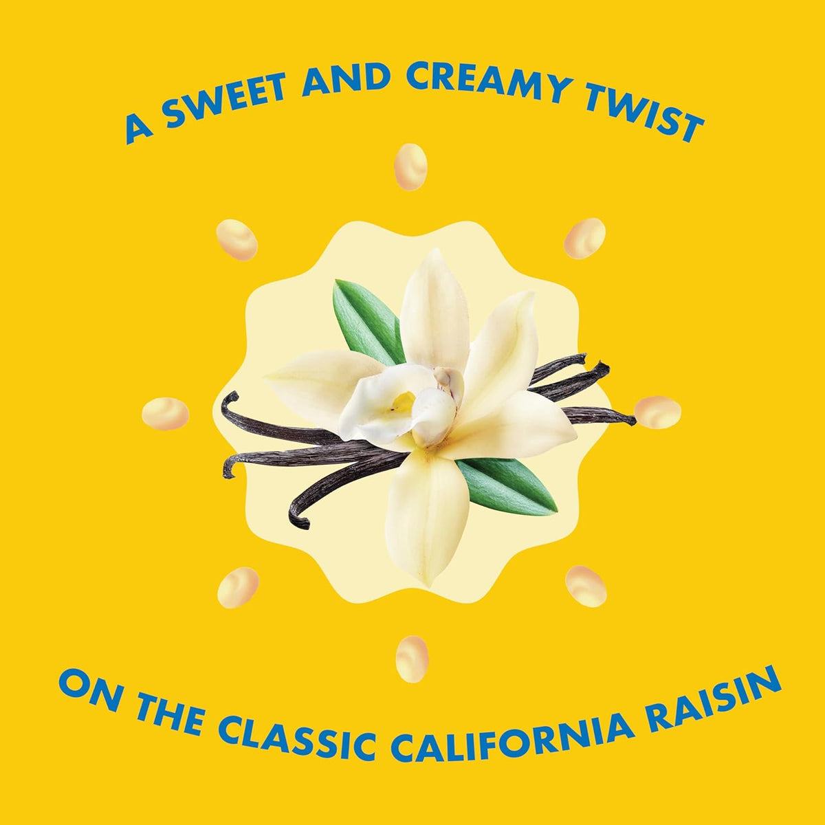 Sun-Maid Vanilla Yogurt Raisins – Thoughtful Hostess Gift for Charcuterie Boards, 6 Single-Serve 1 oz Pouches