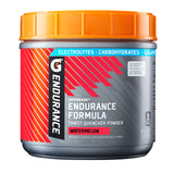 Gatorade Endurance Formula Powder – Cycling and Century Ride Electrolyte Mix for Long-Distance Road Riders