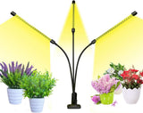 bseah Grow Light for Indoor Plants – Thoughtful Birthday Gift for Her, Full Spectrum Plant Lamp with Auto Timer