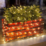 Lomotech Christmas Net Lights – 2850K Warm White Mesh Lights for Cozy Living Room and Indoor Holiday Ambiance