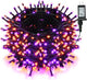 Purple & Orange - 800 LED