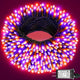 Purple Orange - 100FT 300LED