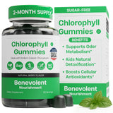 Benevolent Nourishment Liquid Chlorophyllin – Bedtime Wind-Down Support for Relaxing Bath & Self-Care Evening, 59ml