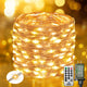 Warm White - 33FT 100LED
