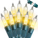 Warm White - 100 LED