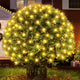 Warm White - 176LED