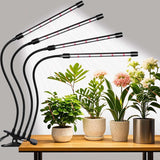 Domus Botanix Grow Light – Mindful Self-Care Ritual for Apartment Plants and Evening Calm