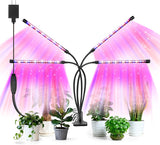 SANSI Grow Light – 4-Head LED Plant Lamp for Cozy Living Room Decor and Indoor Greenery