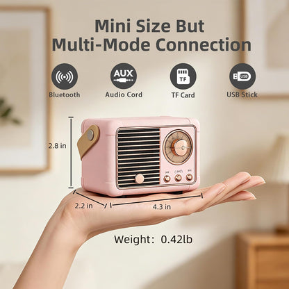 tf card slot and usb disk reader for offline playback without a phone