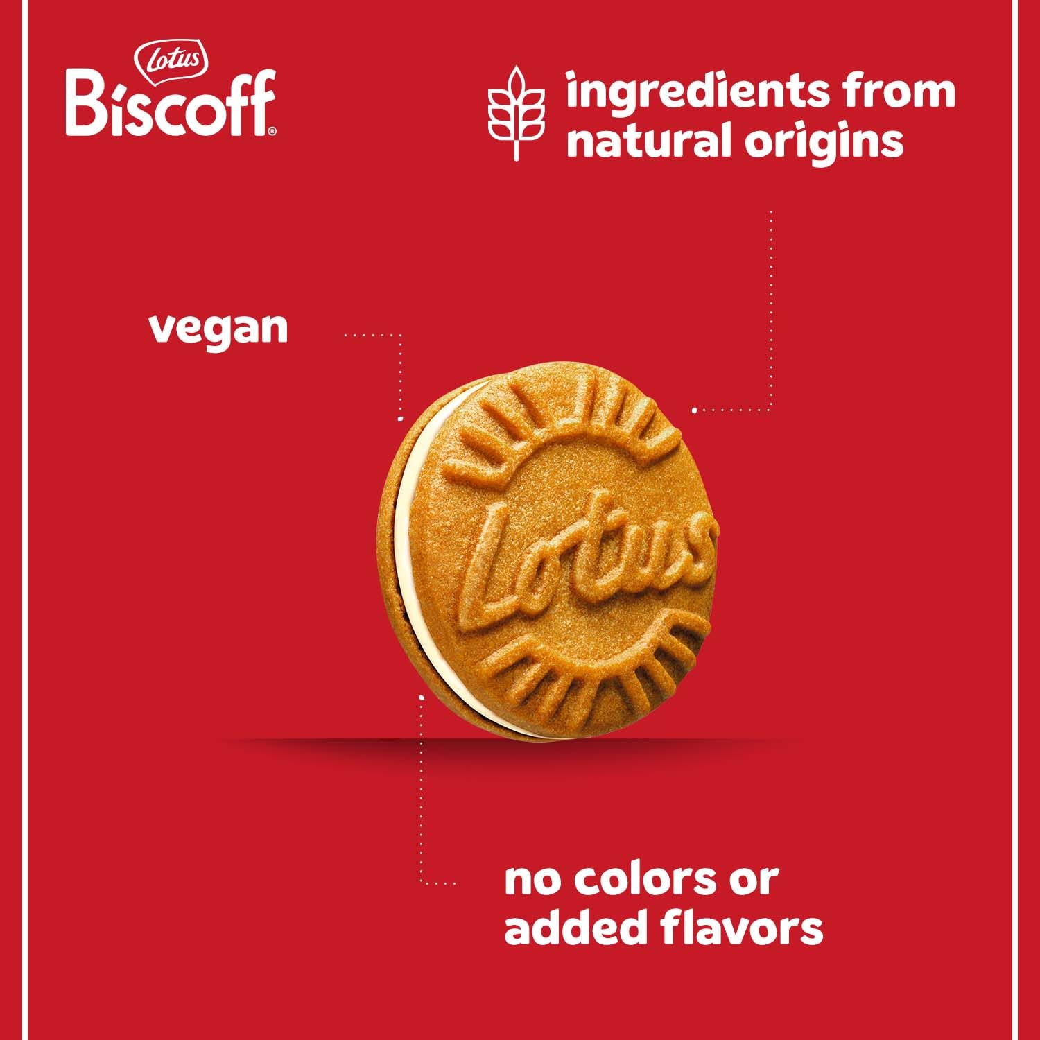 three flavor variants available: vanilla, biscoff cream, and milk chocolate