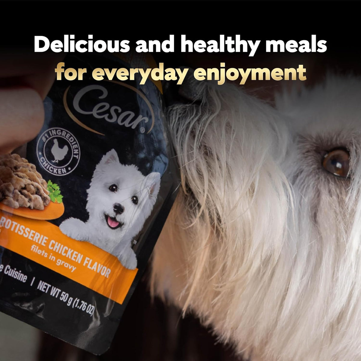 Cesar Adult Dog Wet Food – No Fillers, No Added Sugar, No Artificial Flavors for Daily Wellness Feeding, 40 Mini Pouches