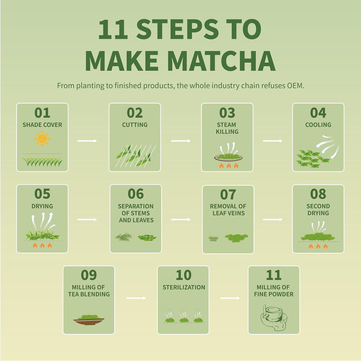 TIAN HU SHAN Single-Serve Matcha Sticks – Portable Focus Boost for Desk and Commute, Quick Latte Prep Between Tasks