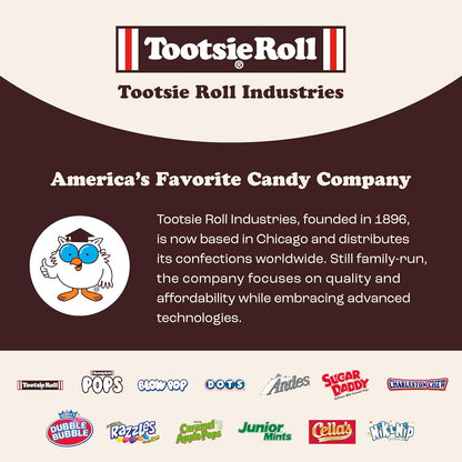 Tootsie Roll Child's Play Candy 5lb Bag – Peanut-Free and Gluten-Free Assortment for Worry-Free Classroom and Party Sharing