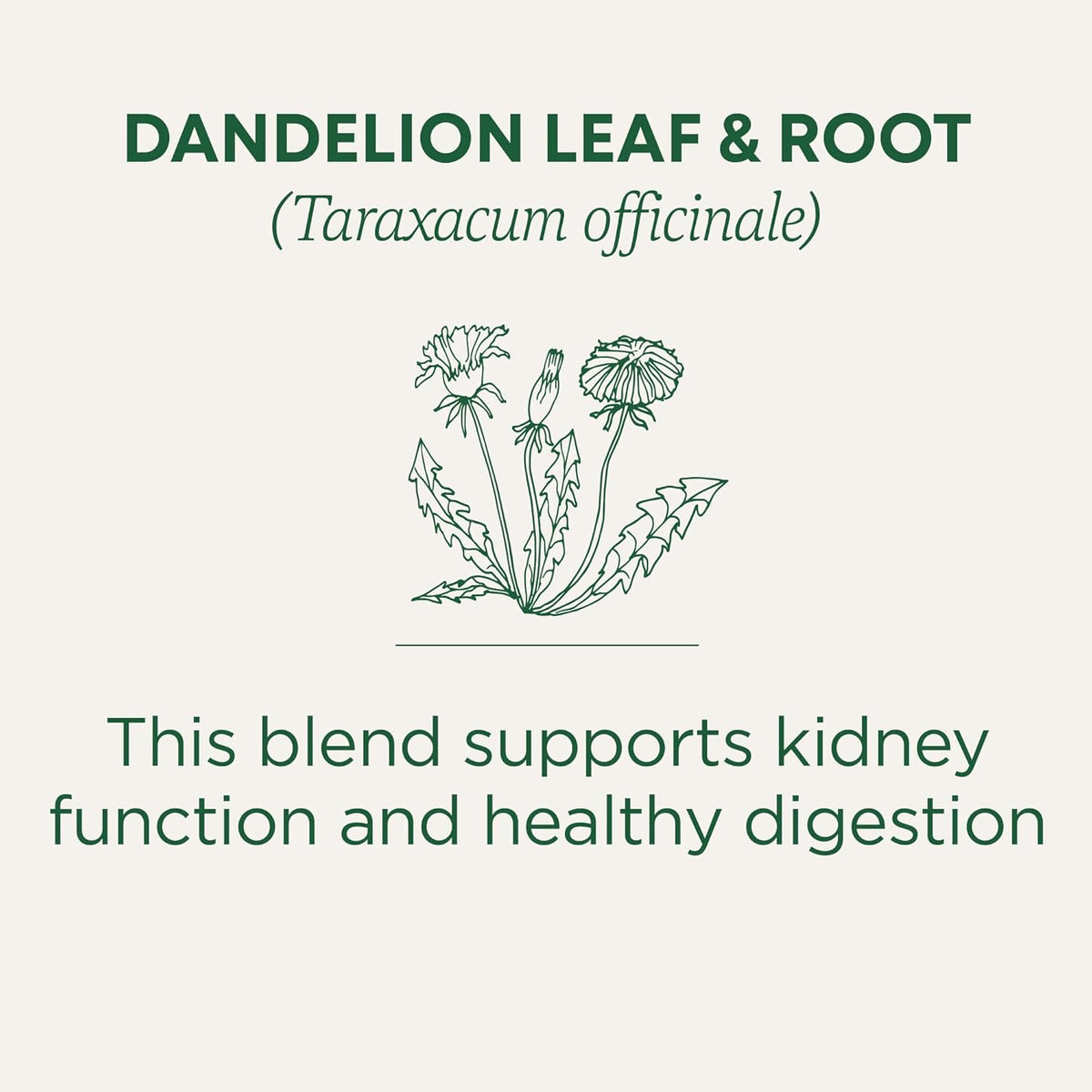 Traditional Medicinals Dandelion Tea – Caffeine-Free Wind-Down Blend for Your Bedside Wellness Corner