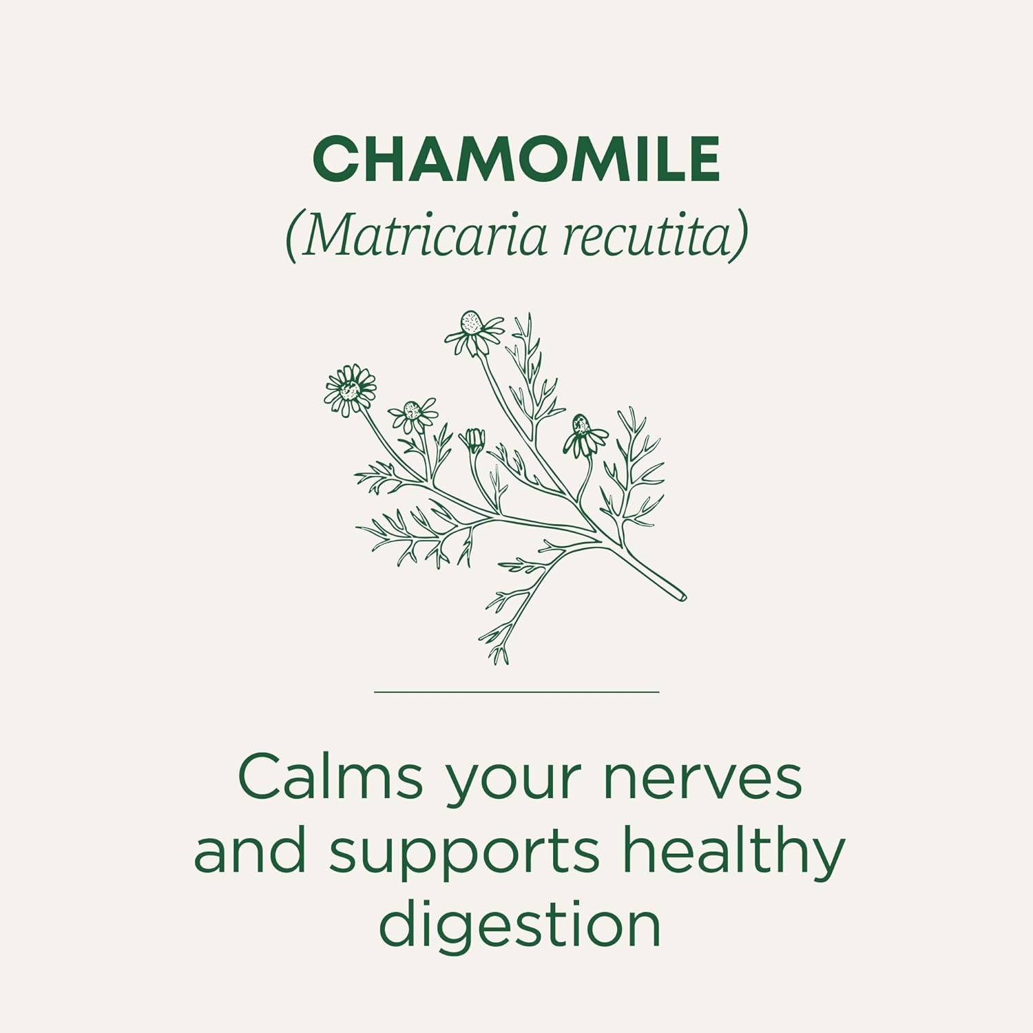 Traditional Medicinals Organic Chamomile Herbal Tea – Calming Bedtime Ritual Tea to Soothe Nerves and Ease Into Sleep, 16 Bags