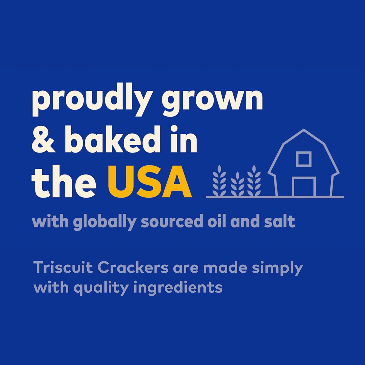 Triscuit Hint of Sea Salt Whole Grain Crackers – Kid-Friendly Lunch Box Snack for Back-to-School Prep