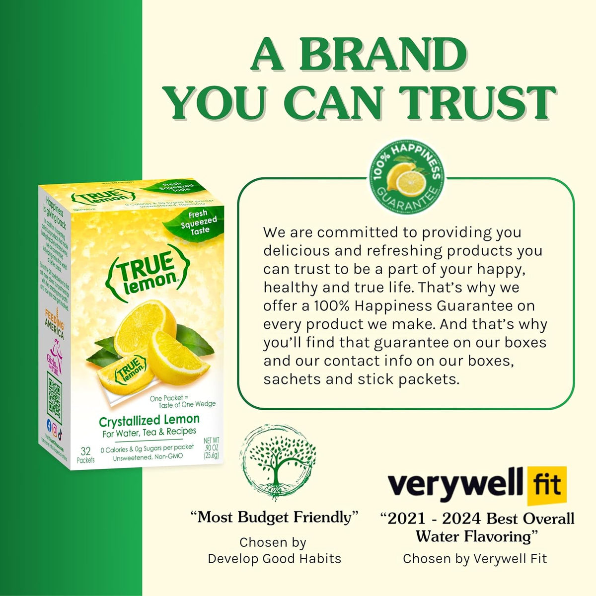 TRUE LEMON Water Enhancer – Pre-Measured Lemon Packets for Intentional Kitchens and Clean Storage, 500 Count