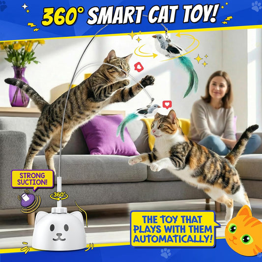 two selectable speed modes (low for kittens/seniors, high for active adults)