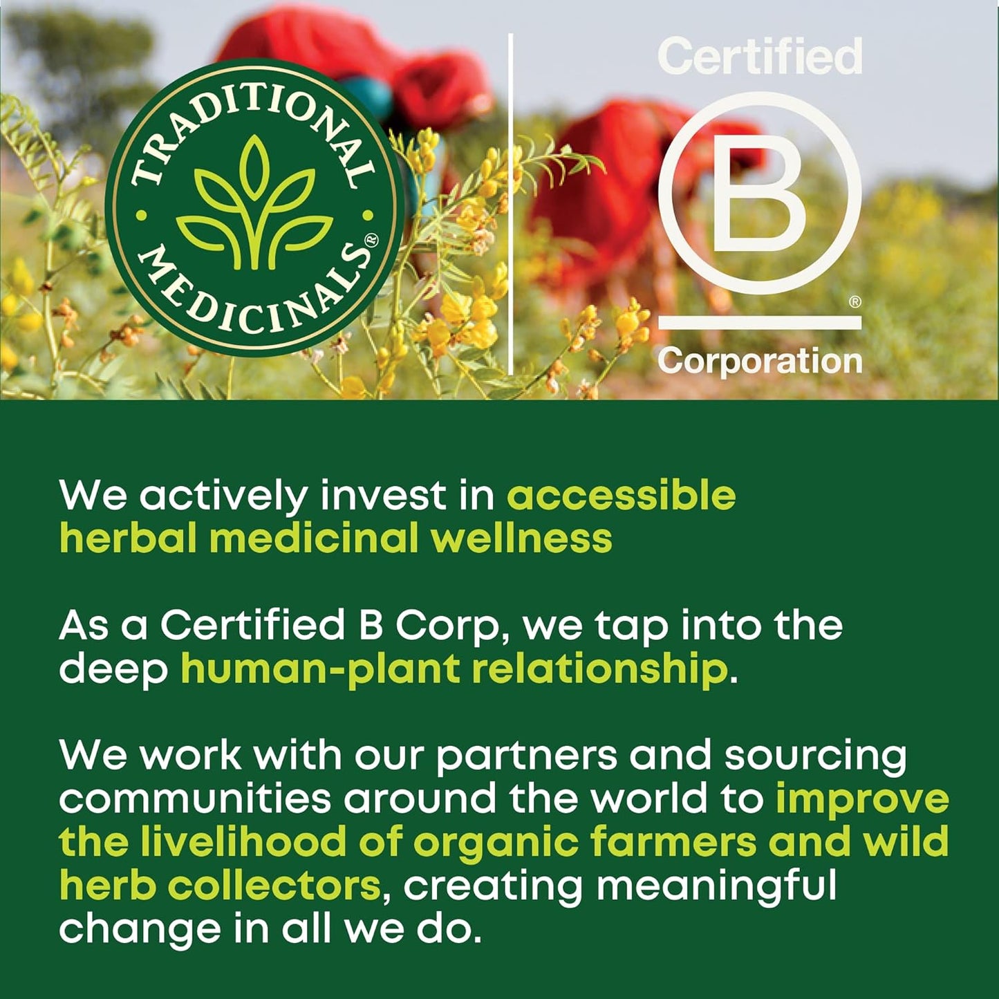 usda certified organic, non-gmo project verified, kosher, and caffeine-free